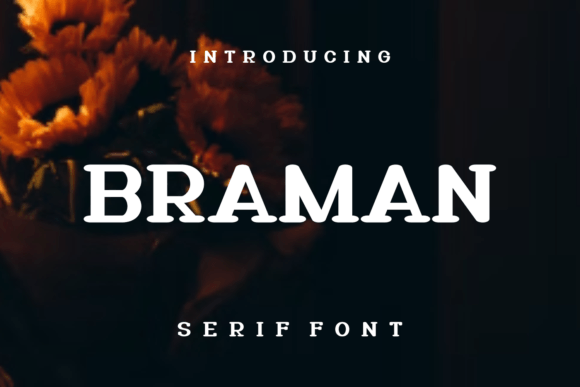 Braman: A Serif Font for Strong Branding