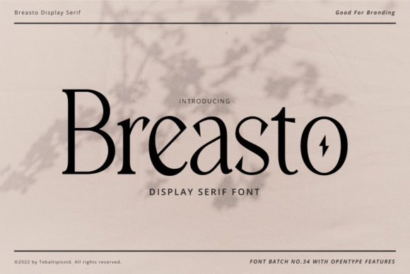 Breasto Font Review: A Serif for Bold Campaigns