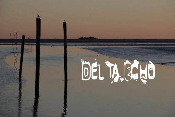 Delta Echo: A Bold Display Font for Small Business Branding