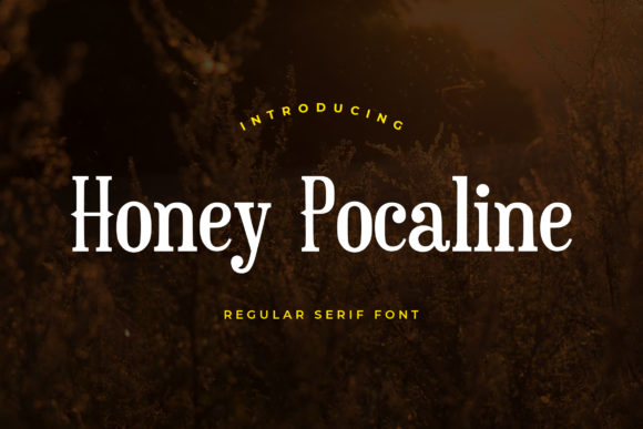 Honey Pocaline: A Classic Serif Font for Brand Growth