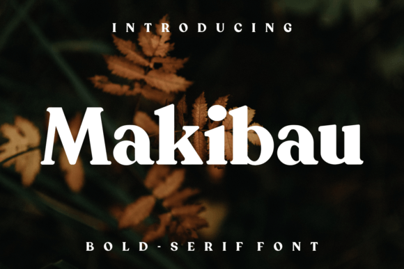 Makibau Serif Font Review for Designers