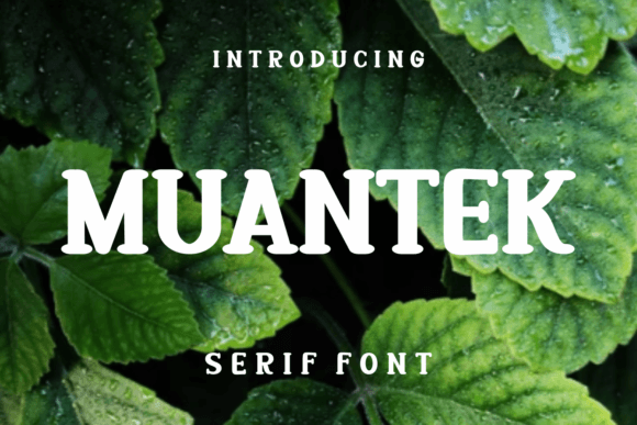 Muantek: A Distinctive Serif Typeface for Editorial Design
