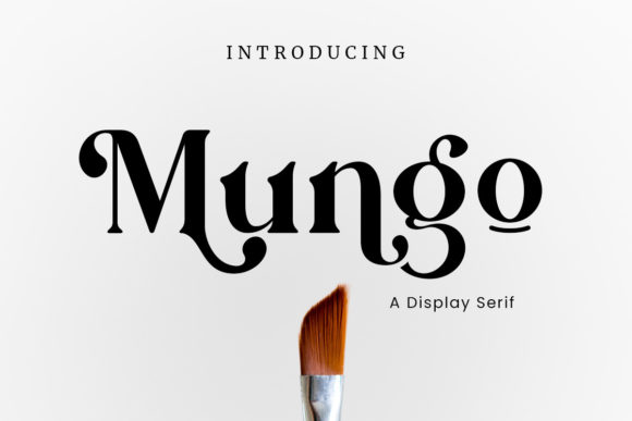 Mungo Font Review: A Chic Serif for Modern Branding