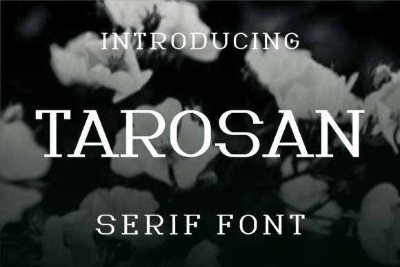 Tarosan: A Serif Font for Stronger Branding