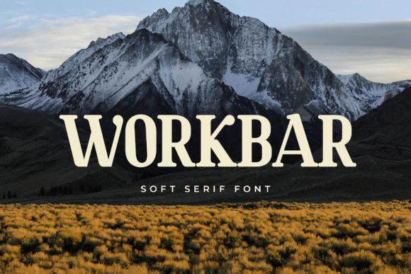 Workbar: The Bold Serif Font for Handmade Brands